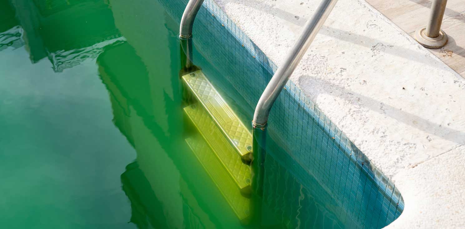 Can You Swim In A Pool With Algae?