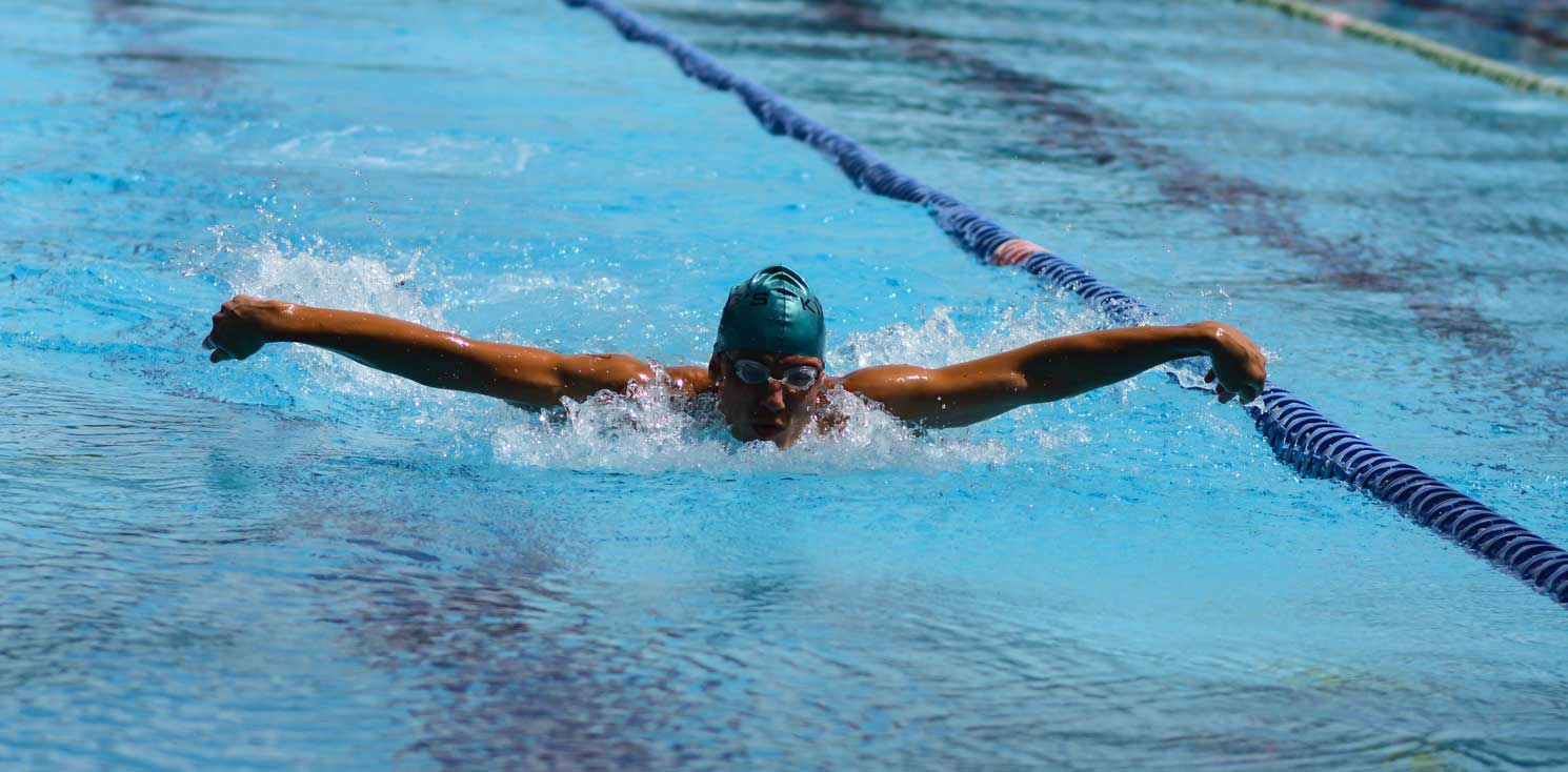 Does Swimming Burn Fat?