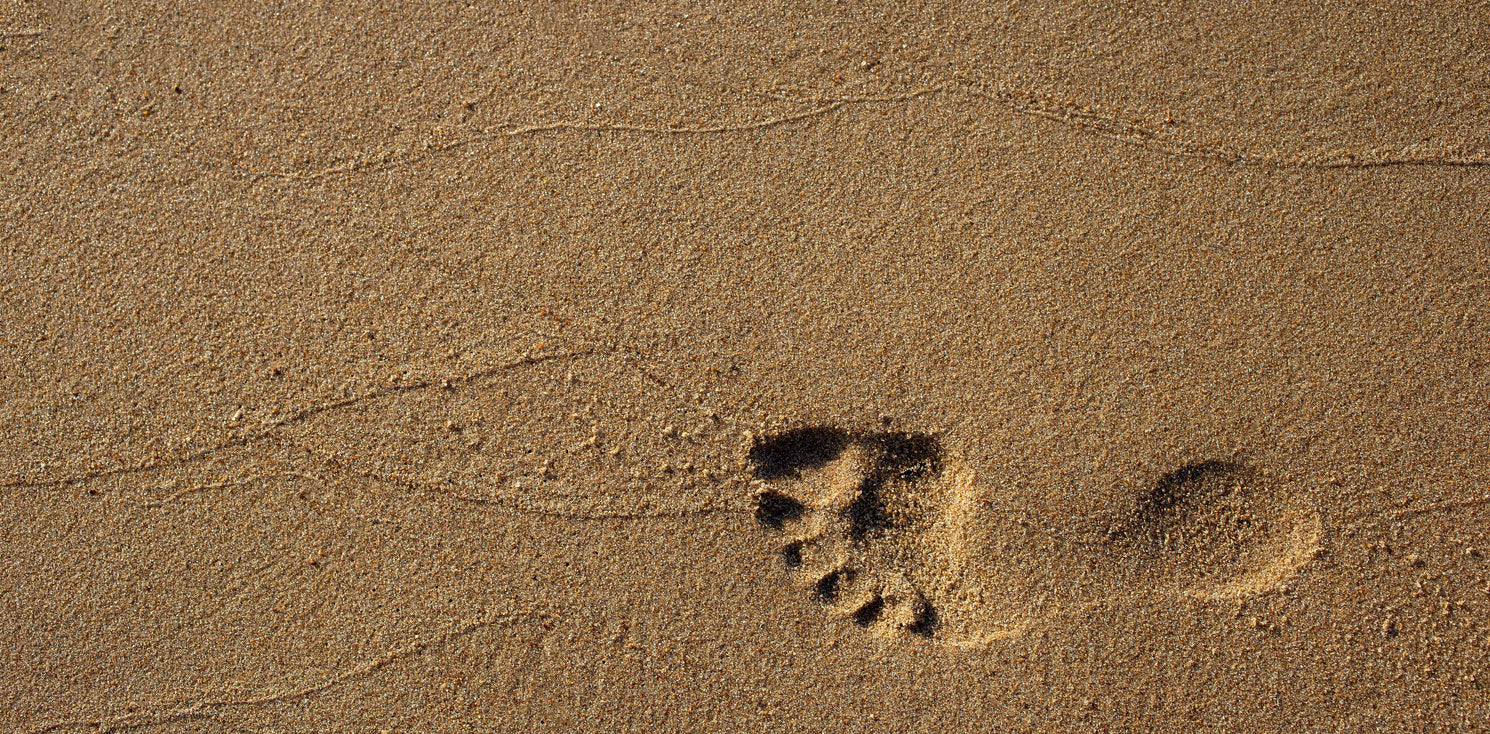 How To Get Sand Out Of Swimsuit